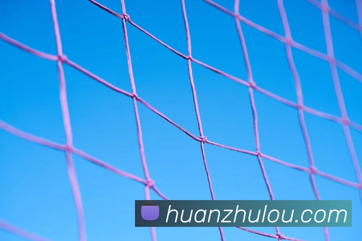 奖项图1